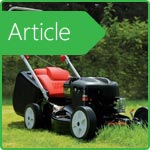  How to choose a lawn mower?
