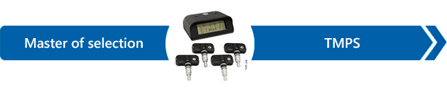 Tire pressure monitoring system — master of selection