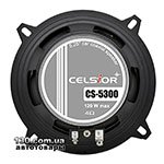 Car speaker Celsior CS-5300 (Silver)