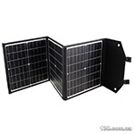 The solar panel Vitol TV60W