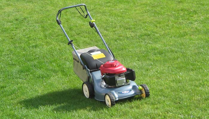 How to choose a lawn mower