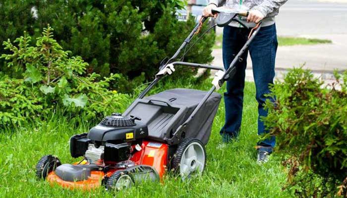 How to choose a lawn mower