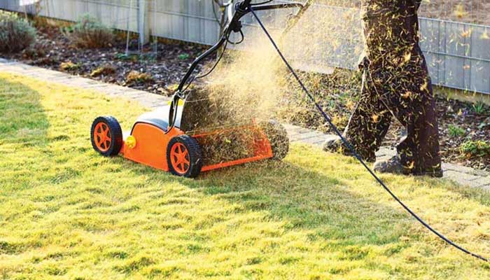 How to choose a lawn mower