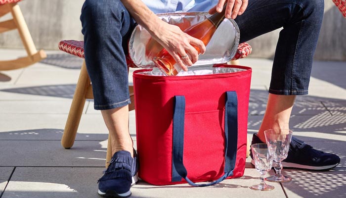 Thermobag - fashionable and original accessory for a picnic