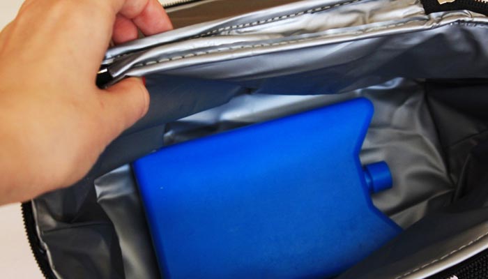 Thermobag - fashionable and original accessory for a picnic