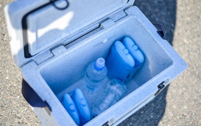 Идея для пикника: сумка холодильник или холодильник в авто