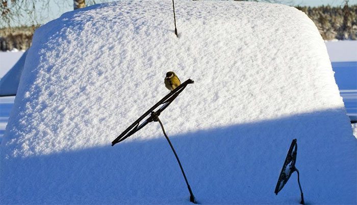 Features of winter wipers choice