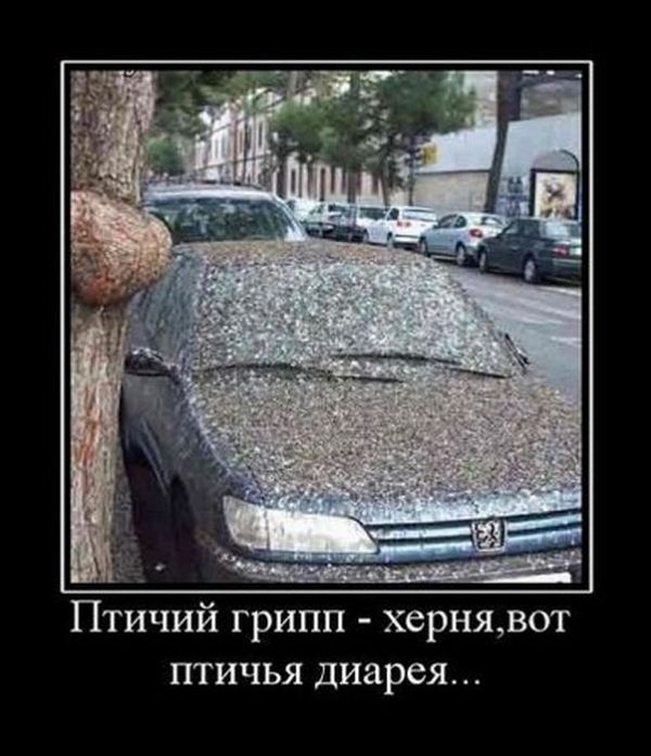 Дэ мотиваторы? Дэ мотиваторы?
