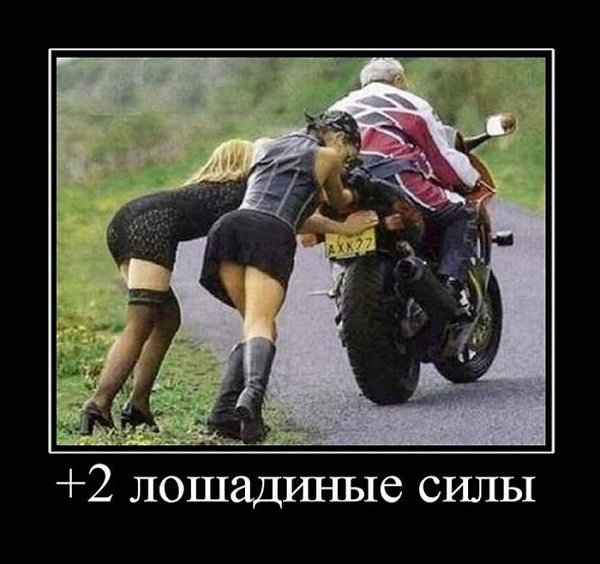 Дэ мотиваторы? Дэ мотиваторы?
