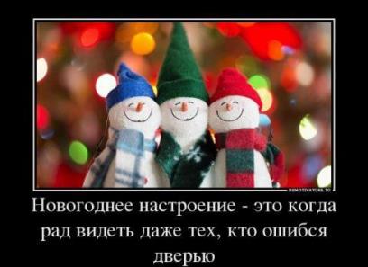 Как отлично провести новогодние каникулы! Как отлично провести новогодние каникулы!