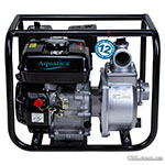 Motor Pump Aquatica 772531