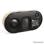 Portable speaker Dali Katch Jet Black