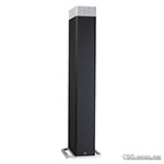 Floor speaker Definitive Technology BP 9080 Bipolar Tower
