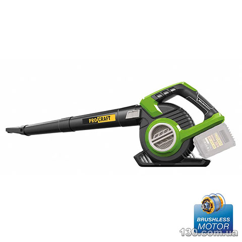 Garden vacuum cleaner Procraft VB-20