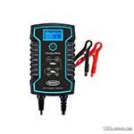 Intelligent charger Ring RESC808