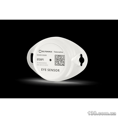 Bluetooth temperature sensor Teltonika BTSMP183